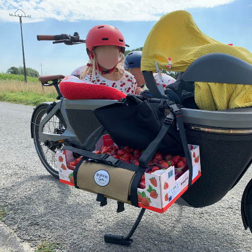 Transport a crate by bike