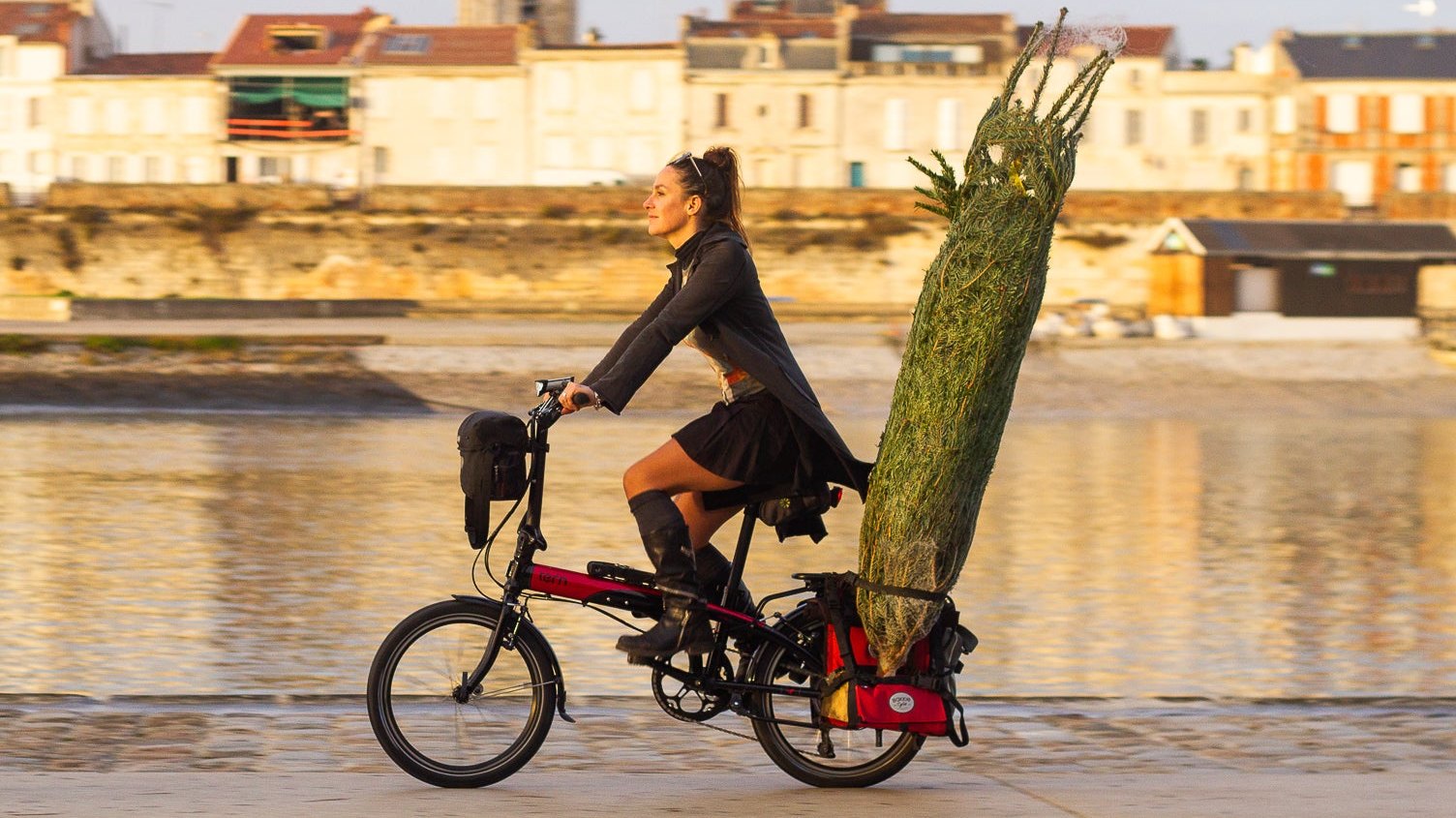 Velo transportant un sapin de Noël