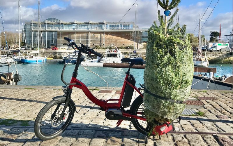Bicicletta che trasporta un albero di Natale