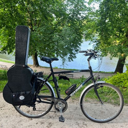 Bicycle stand for guitar