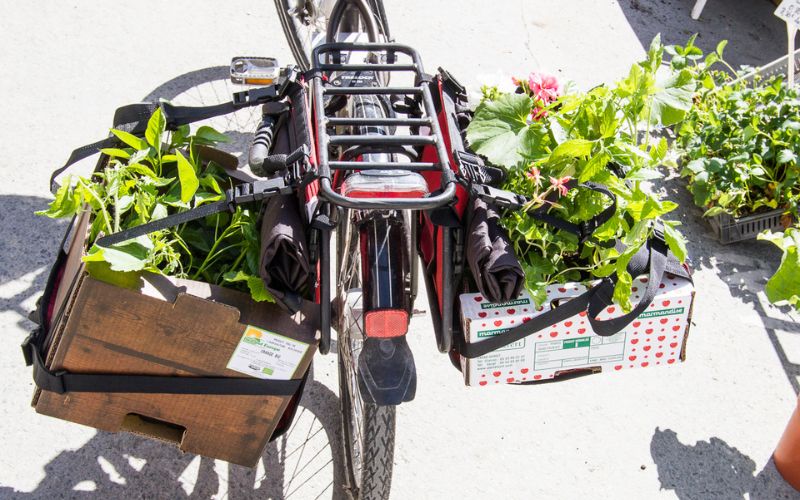 Een kist met groenten per fiets vervoeren